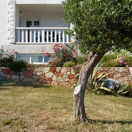 Apartament Baric Kuciste